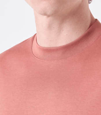 Camiseta Pima Interloque Gola Média Marrom thumbnail 4